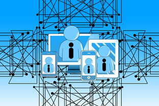 九游入口-中小学体育教师教学技能提升路径研究，中小学体育教师应具备的教学技能