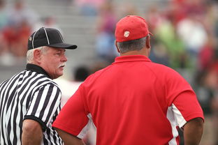 九游下载电脑版-男子800自美队表现中规中矩，男子800米自由泳决赛直播